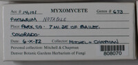 Image Associated With the Occurence